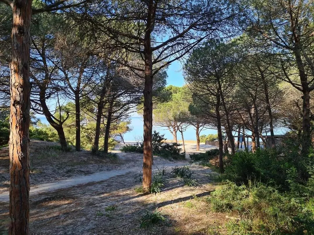 Apartmán Pepita Del Mare Alghero